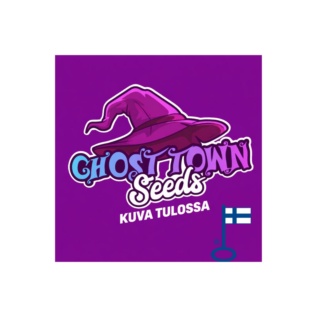 Ghost Town Labs - CBD-Öljy 10 % 10ml